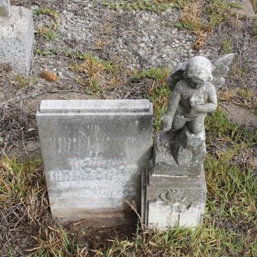 PEPLER Pieter L.D. 1943-1945 