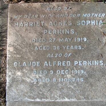 PERKINS Harriet Agnes Sophia -1919 :: PERKINS Claude Alfred -1919