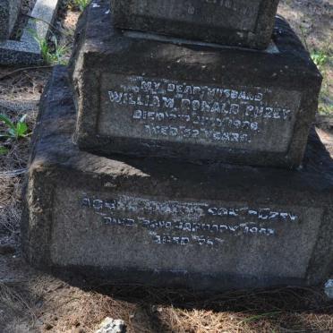 PUZEY William Ronald -1926 &amp; Agnes Finlayson -1953