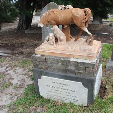 PFAFF Willem Melchior 1832-1893