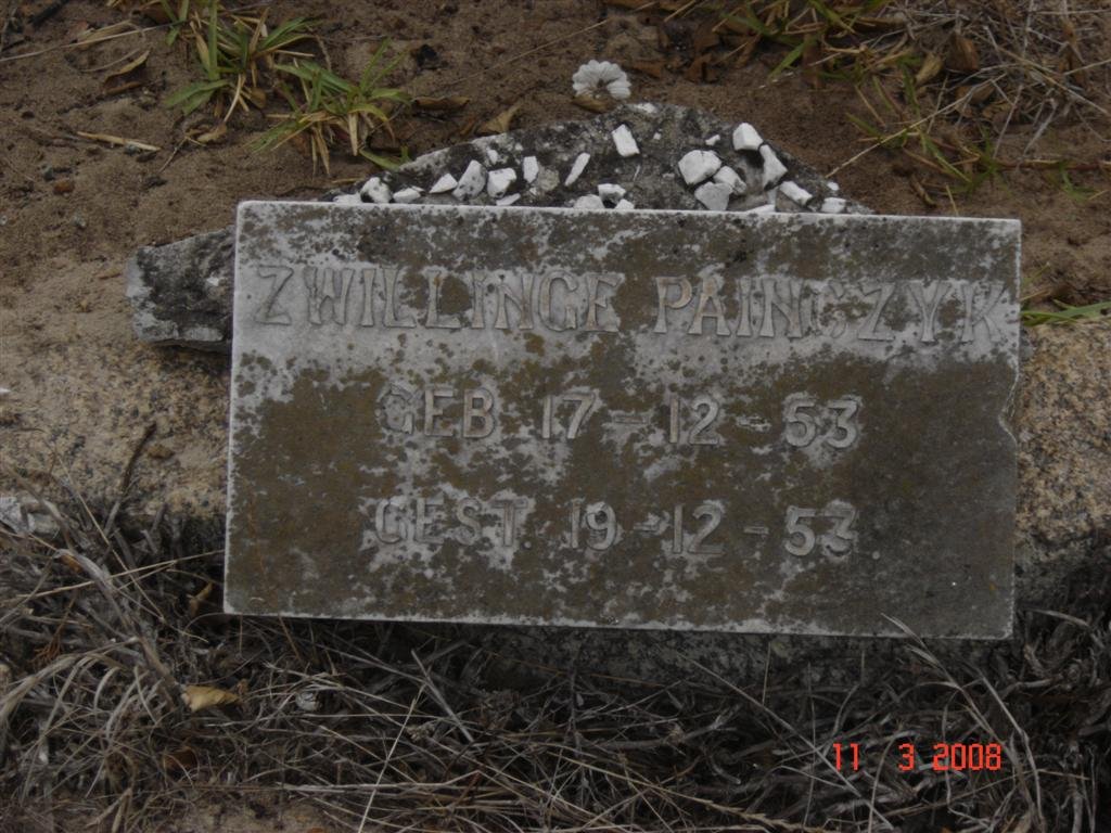 PAINGZYK  Zwillinge 1953-1953