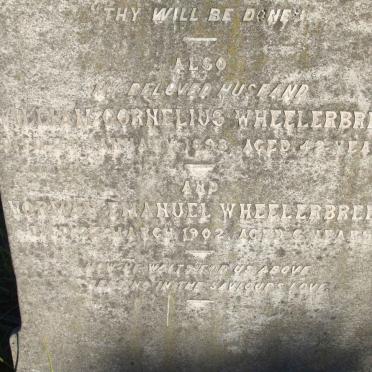 PATTERSEN :: WHEELERBREED