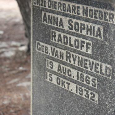 RADLOFF :: VAN RYNEVELD
