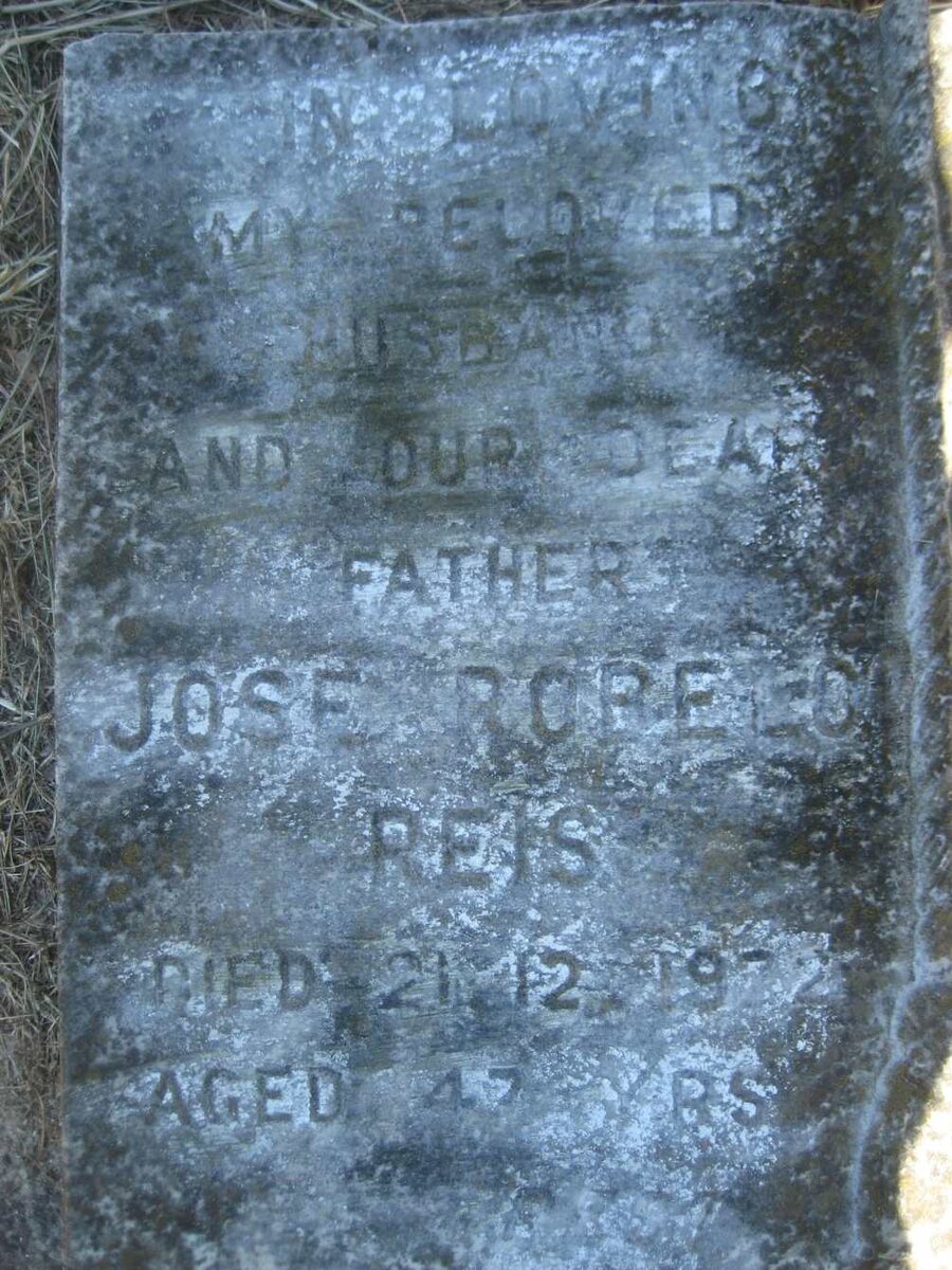 REIS Jose Robelo -19?2