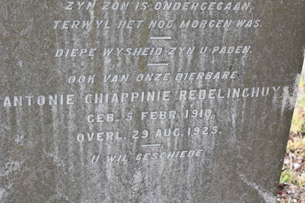 REDELINGHUYS Antonie Chiappini 1910-1925