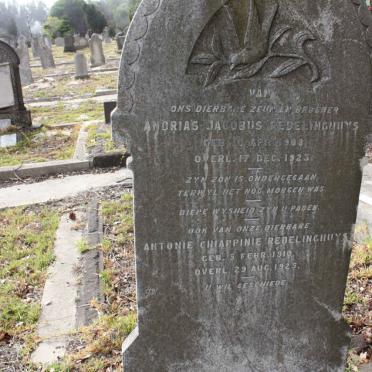 REDELINGHUYS Andrias Jacobus 1908-1923 :: REDELINGHUYS Antonie Chiappini 1910-1925