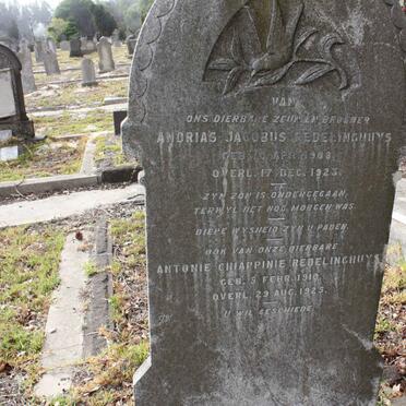 REDELINGHUYS Andrias Jacobus 1908-1923 :: REDELINGHUYS Antonie Chiappini 1910-1925