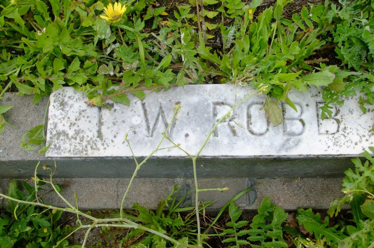 ROBB T.W.