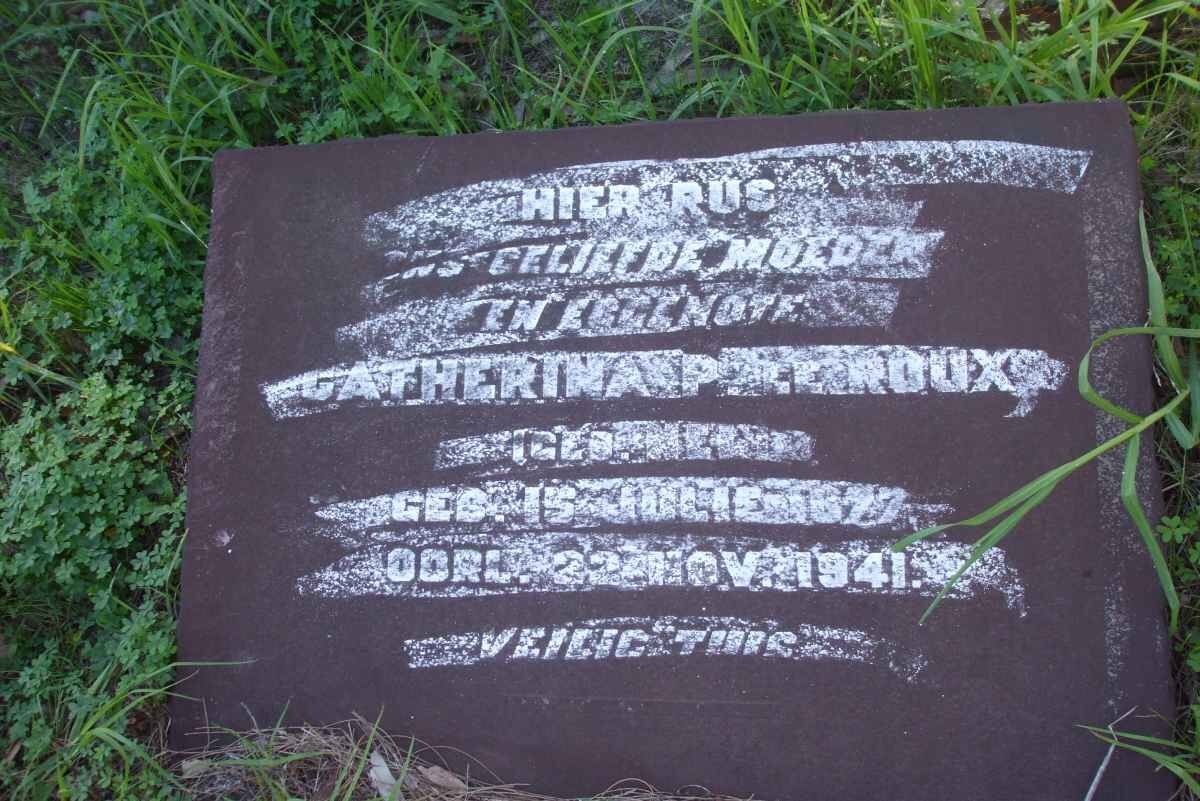 ROUX Catherina P., le nee NEL  1877-1941