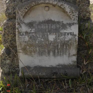 SCHONEGEVEL Christian Carstens 1857-1894