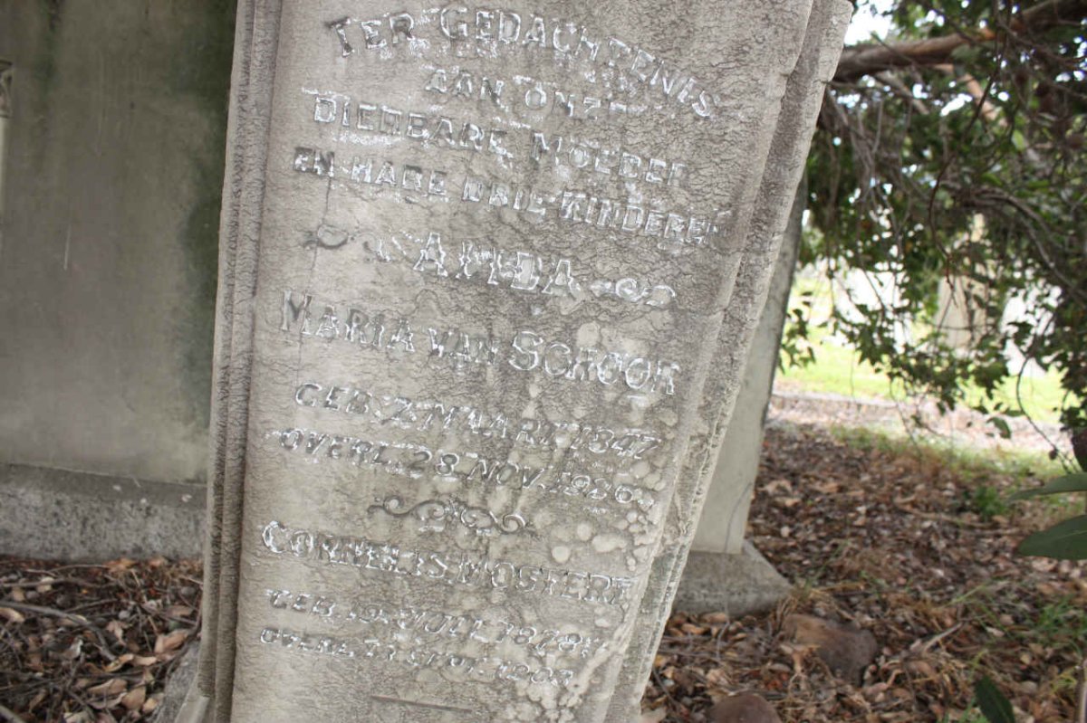 SCHOOR Alida Maria, van 1847-1926 :: VAN SCHOOR Cornelis Mostert 1878-1903