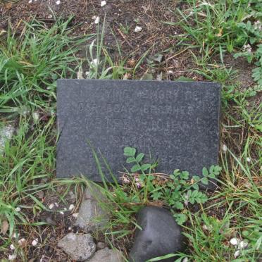 SIMON Peter John 1929-