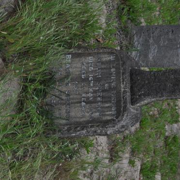 SNEDDON John -1904 &amp; Beatrice -1913