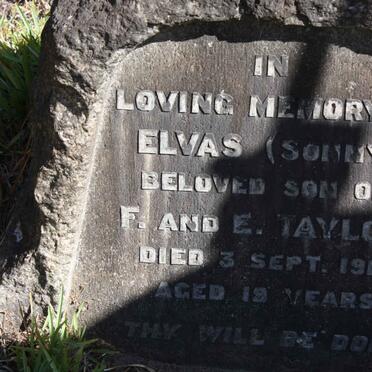 TAYLOR Elvas -1919