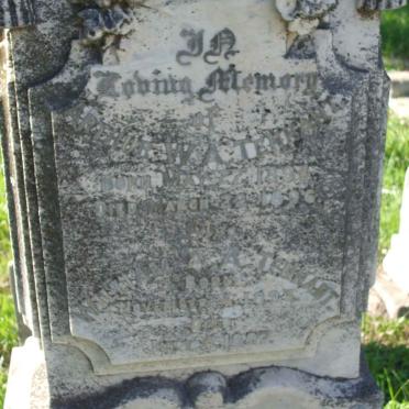 TENNANT William Henry -1908 :: TENNANT Arthur W.A. 189?-1896 :: TENNANT William M. A.A. 1894-1897