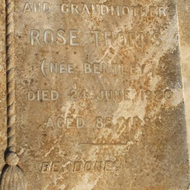 THORNS Rose BENTLEY -1980