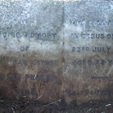 VINE Susan Phoebe -1959