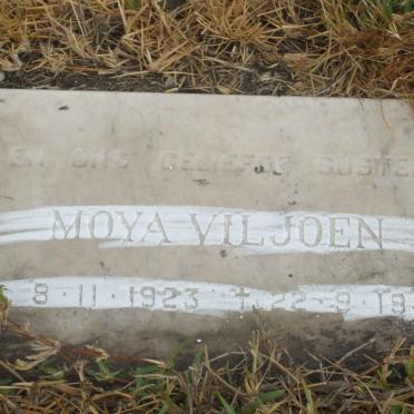 VILJOEN Willem Jacobus Rousseau 1891-1959 &amp; Alida Susanna 1893-19?4 :: VILJOEN Moya 1923-1985