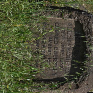 WALLACE Ellen Henrietta -1938 :: WALLACE Gerald Courtney 19?? :: WALLACE Charles Edward 195?