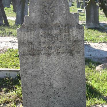 WALLIN Ernest William Conway 1876-1899