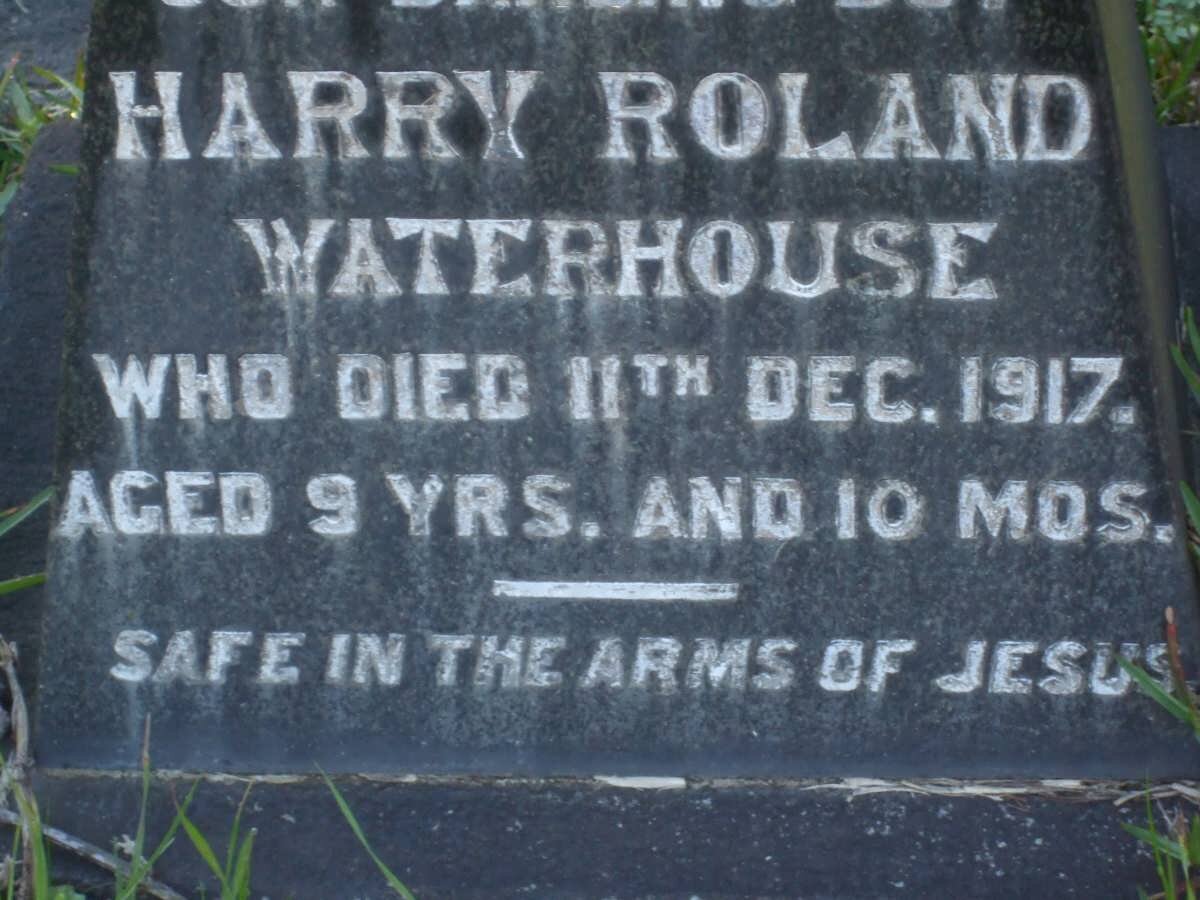 WATERHOUSE Harry Roland -1917