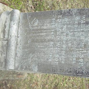 WILSON Walter -1905 :: WILSON Edward -1918