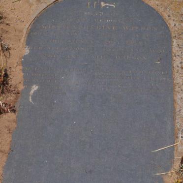 WILSON Catherine ??41-