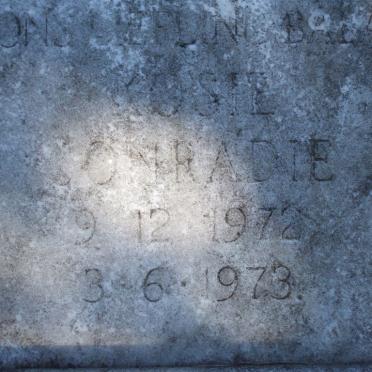 CONRADIE Kosie 1972-1973