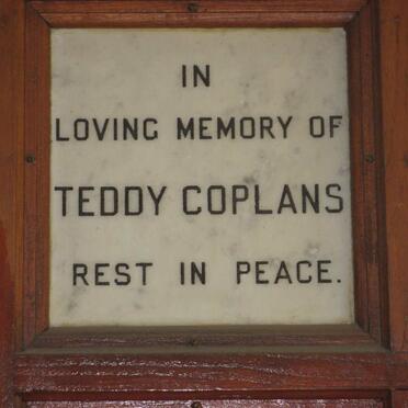COPLANS Teddy