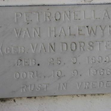 HALEWYN Petronella, van nee VAN DORSTEN 1899-1966