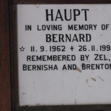 HAUPT Bernard 1962-1992
