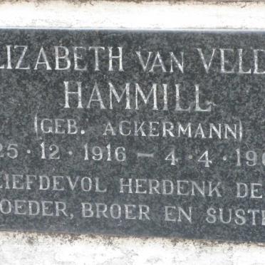 HAMMILL Elizabeth van Velden nee ACKERMANN 1916-1967