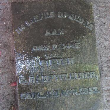 HAUPTFLEISCH Pieter G. -1953