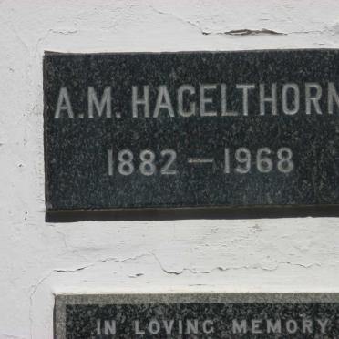HAGELTHORN A.M. 1882-1968