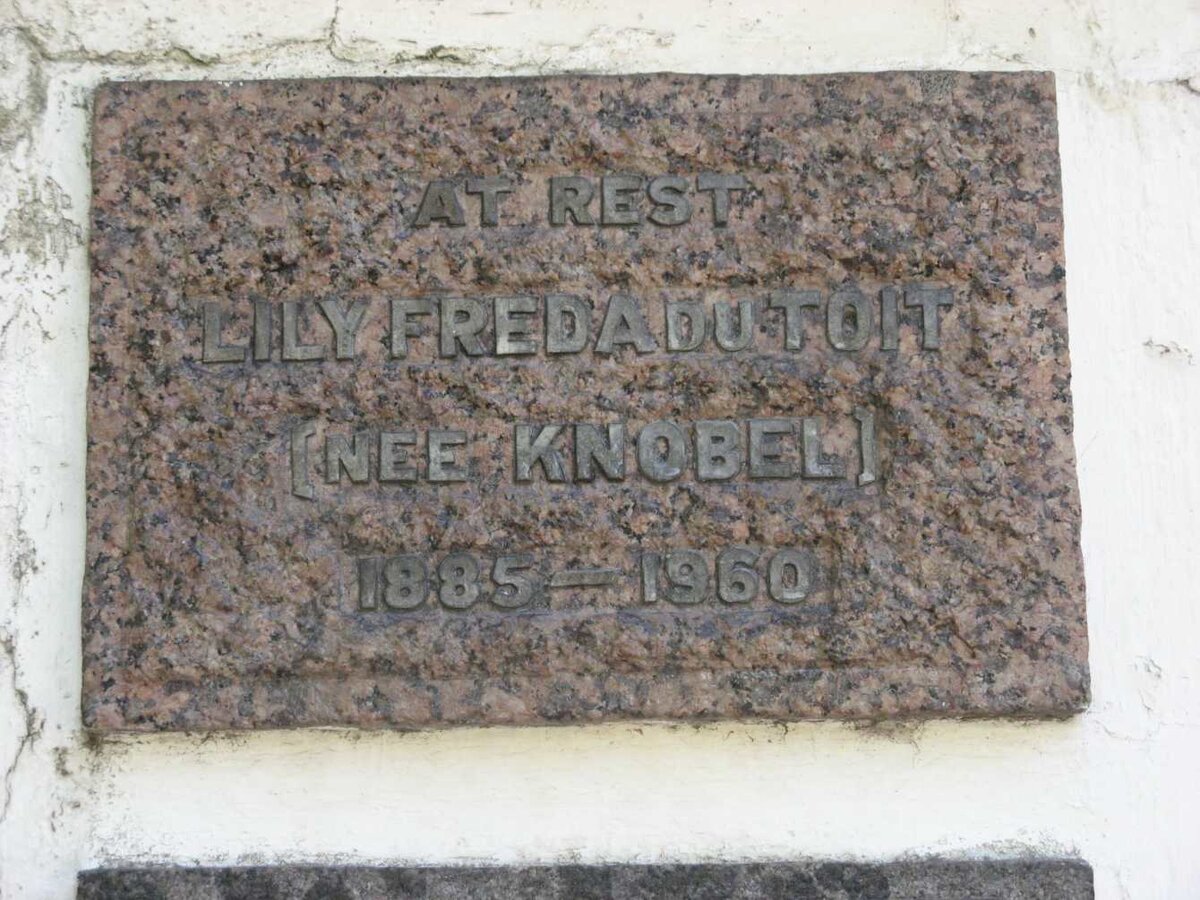 TOIT Lily Freda, du nee KNOBEL 1885-1960