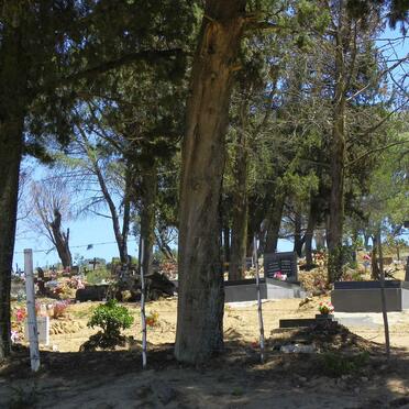 3. Overview / Oorsig