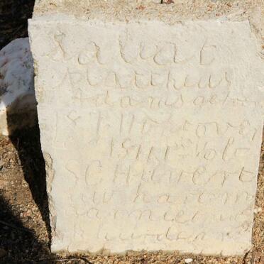 ADAMS Albert Mattheus