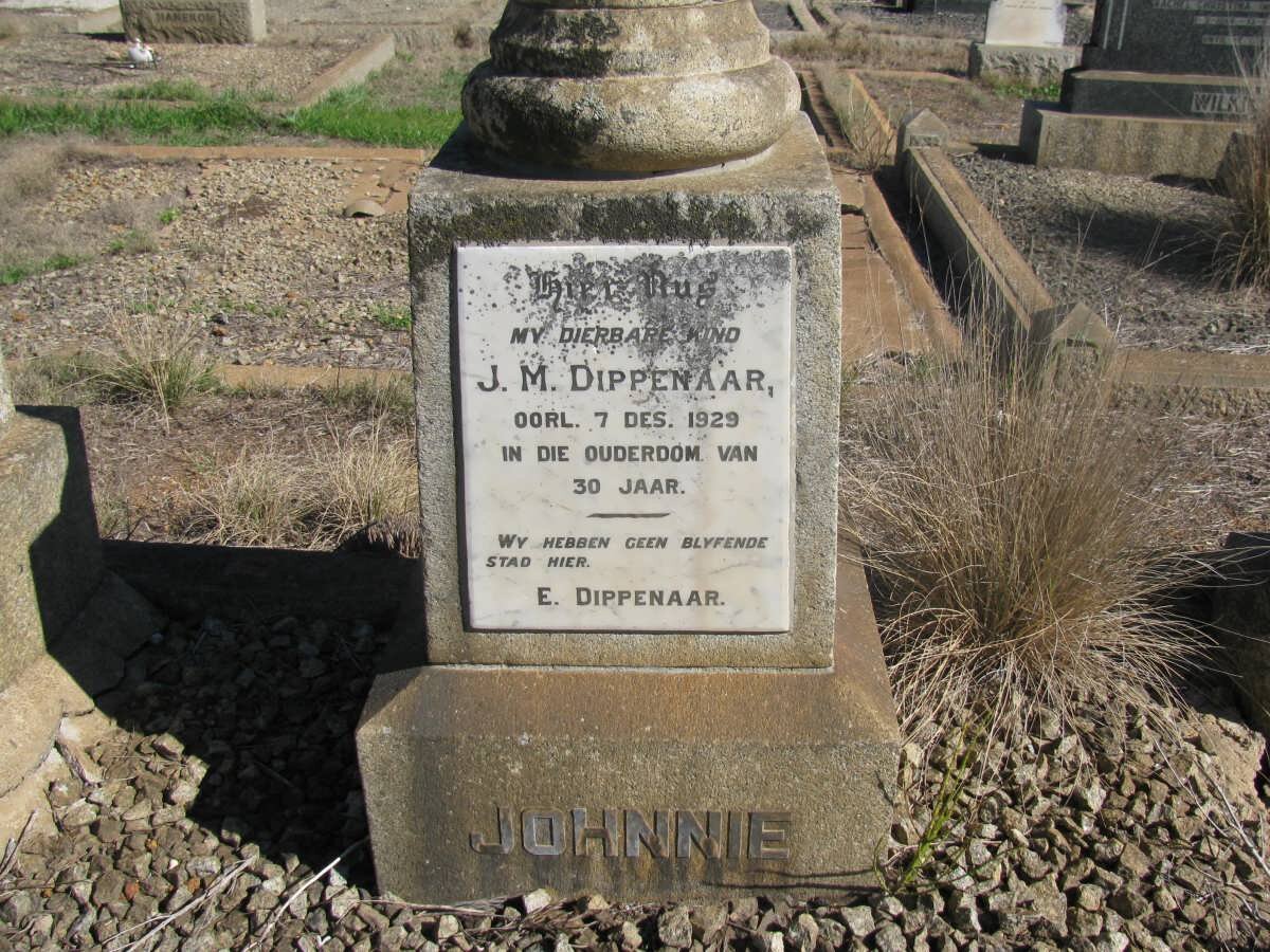 DIPPENAAR J.M. -1929