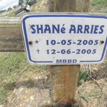 ARRIES Shane 2005-2005