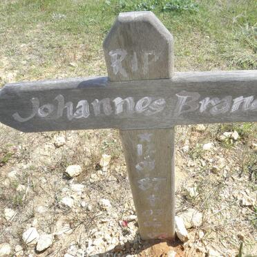 BRANDY Johannes