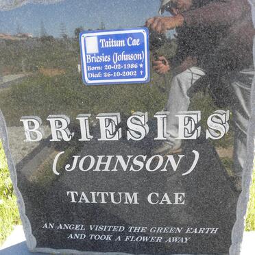 BRIESIES Taitum Cae nee JOHNSON 1986-2002