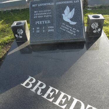 BREEDT Pieter 1950-2001