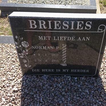 BRIESIES Norman P. 1937-2011
