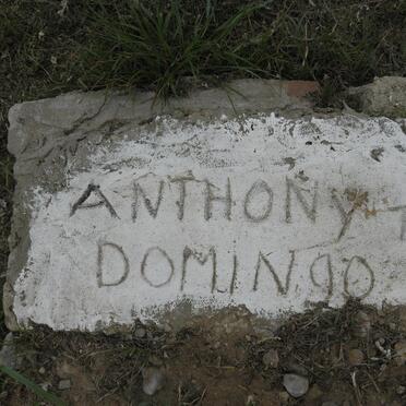 DOMINGO Anthony