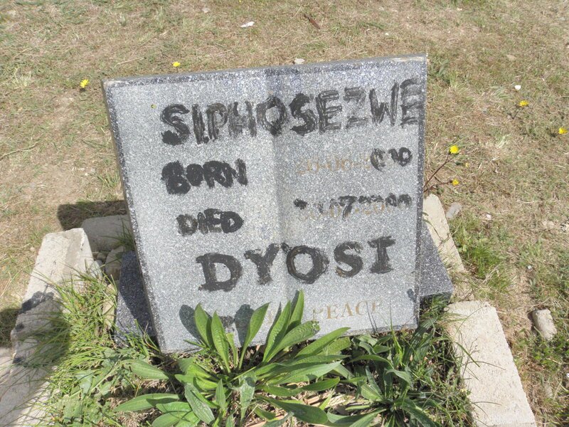DYOSI Siphosezwe 