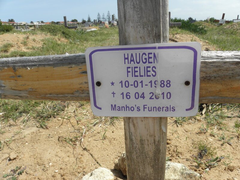 FIELIES Haugen 1988-2010