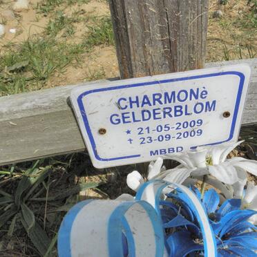 GELDERBLOM Charmone 2009-2009