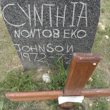 JOHNSON Cynthia Nontobeko 1972-?
