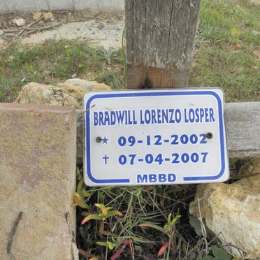 LOSPER Bradwill Lorenzo 2002-2007