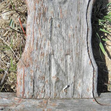 MANO Wilhelmina ?-1996